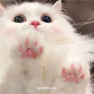 Avatar do jogador Carlos